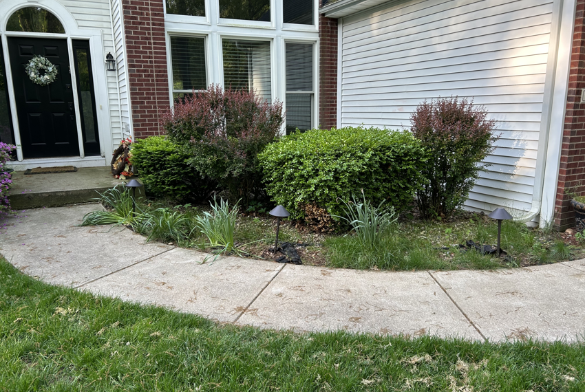 Landscaping Service - Before